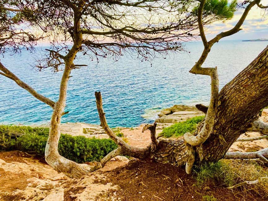 Cala Millor: real treasure hunt in natural reserve, fun walk - Quick highlights