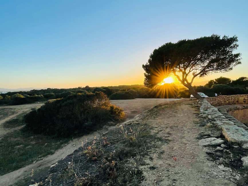 Cala Millor: real treasure hunt in natural reserve, fun walk - The app-guided part: how it works without the stress