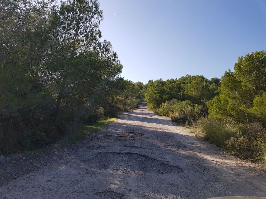 Cala Millor & Sa Coma: Jeep Touren – Natur entdecken - The viewpoint break: 15 minutes for photos and perspective