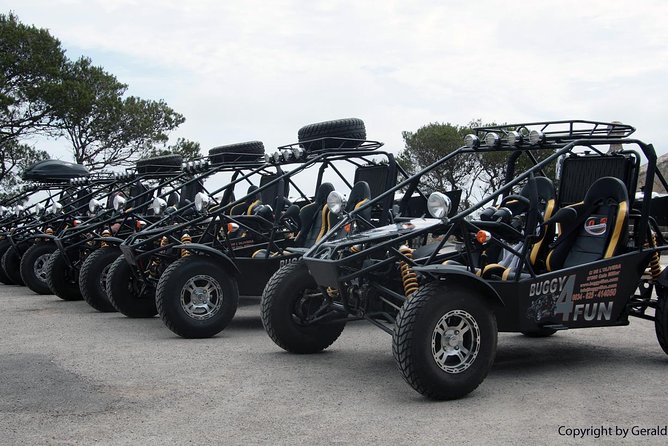 "Cala Millor & Sa Coma: TOP Buggy Tours – your mega experience!" - The Small Details That Decide If You’ll Enjoy It or Not