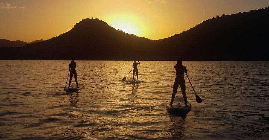 Cala Rajada: Stand Up Paddle Sunset Tour - What you see on the route, birds, fish, and reed edges