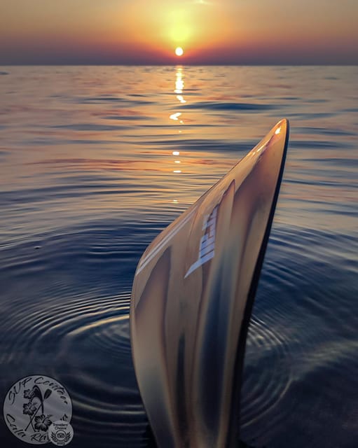 Cala Ratjada: Stand Up Paddle Sunrise Tour - Your first steps: paddle stance, grip, and safety basics