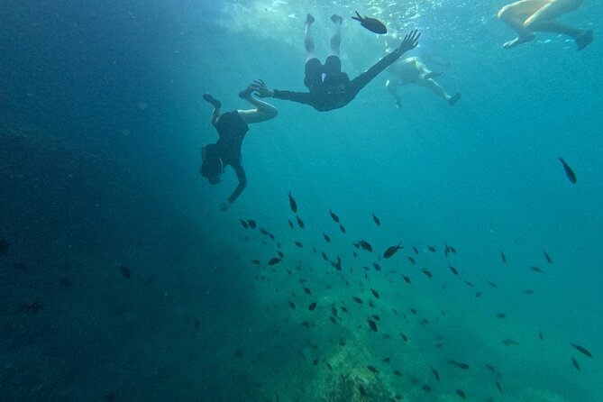 Cala Varques: Guided kayak Sea caves expedition & snorkeling - The crew, instructions, and what a friendly guide changes