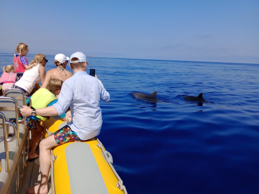 Can Picafort: Dolphin Watching Boat Tour with Swimming - The RIB ride: northern Mallorca coastline and the Cap de Formentor angle
