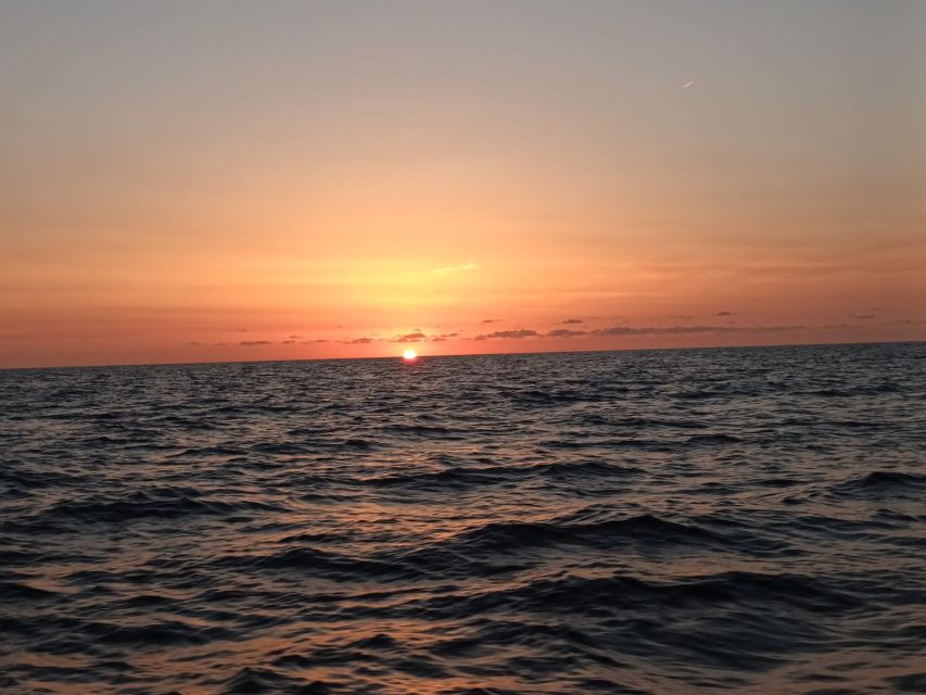 Can Picafort: Dolphin Watching Boat Tour with Swimming - Group size, guides, and the value of being in a tight crew