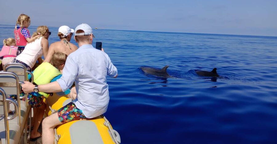 Can Picafort: Dolphin Watching Boat Tour with Swimming - Getting started at the Can Picafort Yacht Club, and how to set yourself up