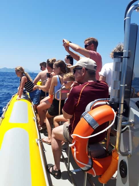 Can Picafort or Alcudia: Customizable Private Boat Day Trip - Why a private speedboat day trip from Can Picafort feels special