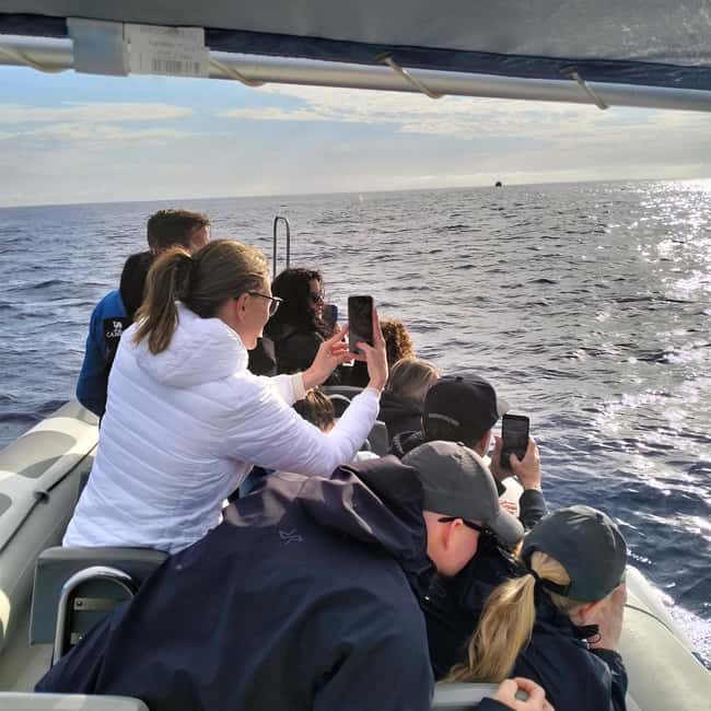 Can Picafort or Alcudia: Customizable Private Boat Day Trip - What to bring, and what you should plan around