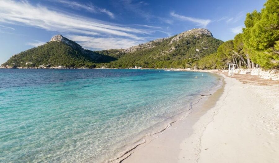 Can Picafort or Alcudia: FORMENTOR BEACH - Formentor Cape and the Northernmost Views of Mallorca