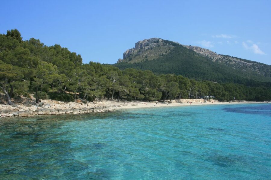 Cap de Formentor: Market, Beach, and Alcudia Tour - Cap de Formentor Coastal Road: Panoramic Views From the Ride and the Stops