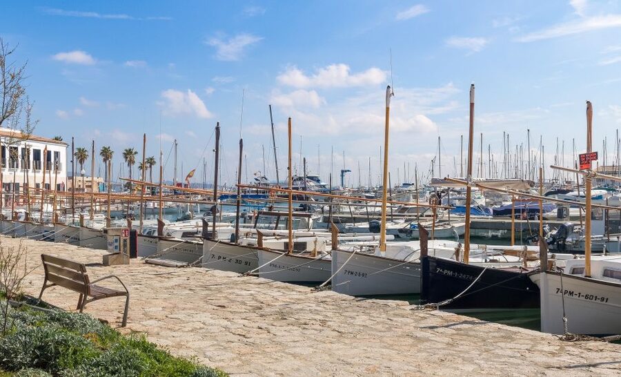 Cap de Formentor: Market, Beach, and Alcudia Tour - Playa de Formentor Free Time: Swimming, Sun, and Weather Reality
