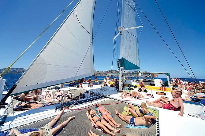 Catamaran Cruise from Port d'Alcudia with Lunch and Swim Stop - Why this Alcudia catamaran is a smart half-day plan