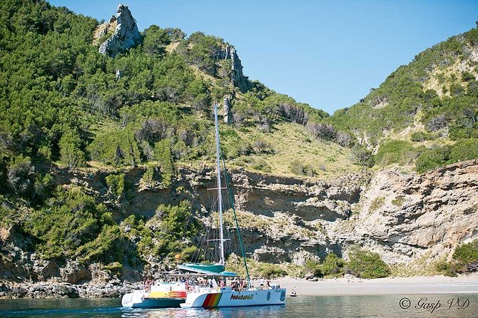 Catamaran Cruise from Port d'Alcudia with Lunch and Swim Stop - Service and staff: what you can expect from the crew