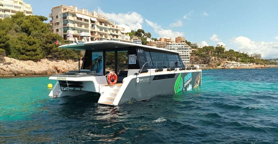 CATAMARAN ECO EXPERIENCE at Palma Bay - What’s included, and how the gear changes your comfort level