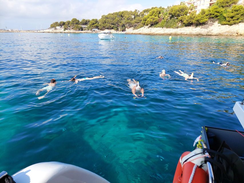 CATAMARAN ECO EXPERIENCE at Palma Bay - The snack and drinks that keep the day from dragging