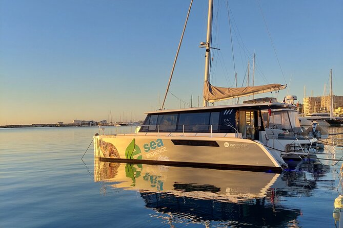 Catamaran Mallorca Eco Experience - Key Things To Know Before You Book This Mallorca Eco Catamaran