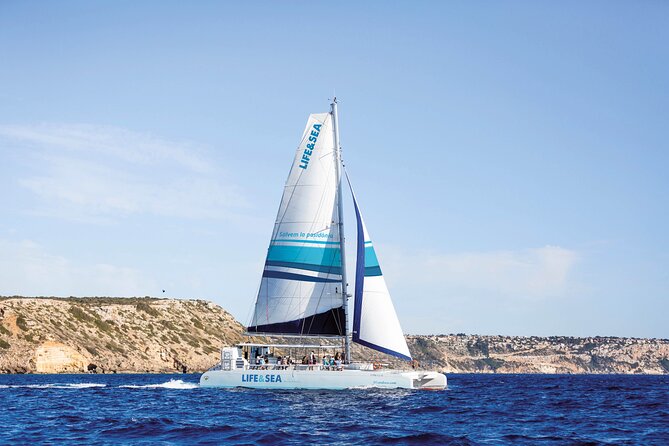 Catamaran with BBQ in the Bay of Palma - Key highlights to know before you go