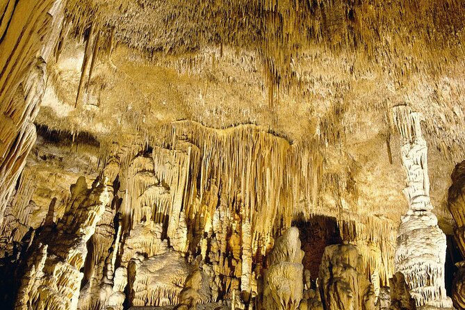 Caves Drach Tour & Return Transfer from Cala Dor-Calas Mallorca - Free time around the caves: shops, restrooms, and quick photo spots