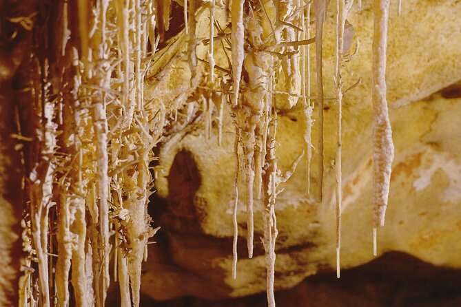 Caves Drach Tour & Return Transfer from Cala Dor-Calas Mallorca - Majorica Pearls in Porto Cristo: the included factory stop