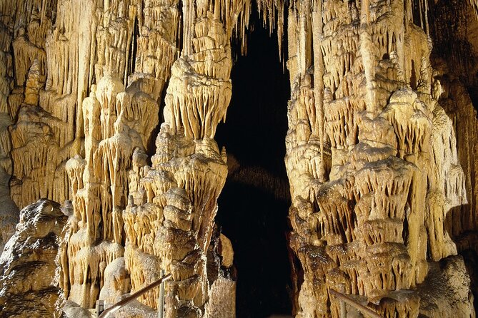 Caves Drach Tour & Return Transfer from Cala Dor-Calas Mallorca - Inside the caves: a guided highlights route in about 50 minutes