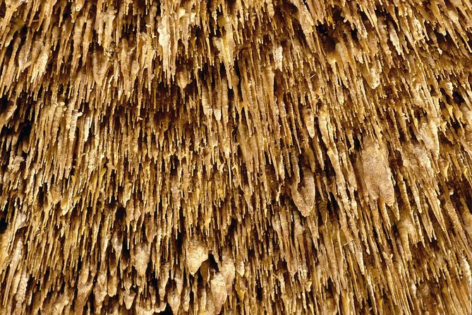 Caves of Drach Half-Day Tour with Boat Trip and Music Concert - Time, crowds, and punctuality, how to protect your day