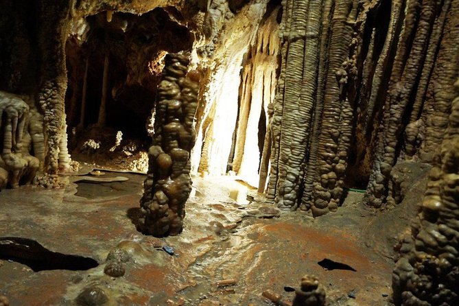 Caves of Genova Admission in Palma de Mallorca - Cuevas de Genova: A Quick Cave Break Near Palma
