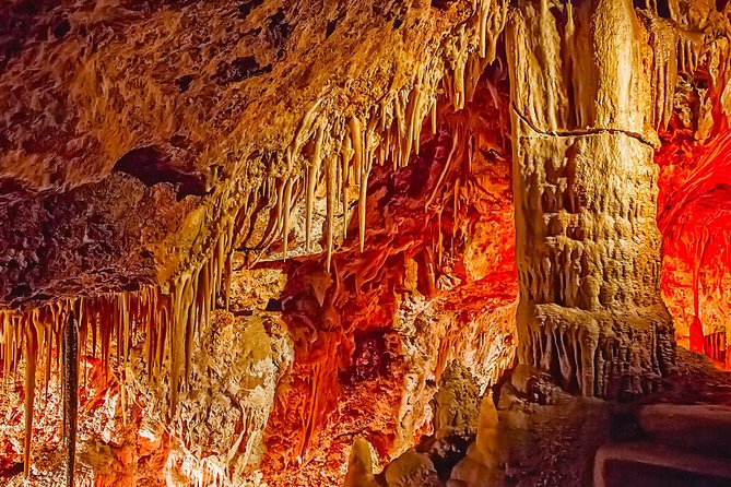 Caves of Genova Admission in Palma de Mallorca - What the 20-Minute Admission Really Feels Like