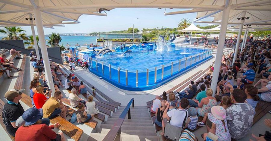 Costa d'en Blanes: Entry Ticket for Marineland Mallorca - Key points before you go