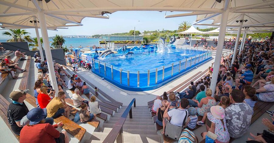 Costa d'en Blanes: Entry Ticket for Marineland Mallorca - Marineland Mallorca in Costa den Blanes: what you are really booking