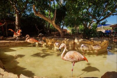 Costa d’en Blanes: Entry Ticket for Marineland Mallorca