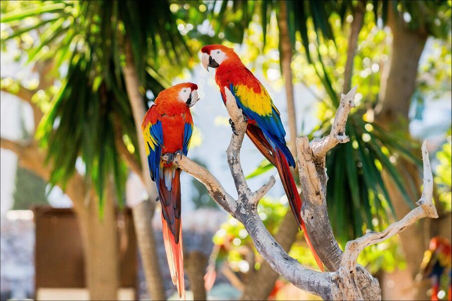 Costa d'en Blanes: Entry Ticket for Marineland Mallorca - Playground and on-site comforts that help families