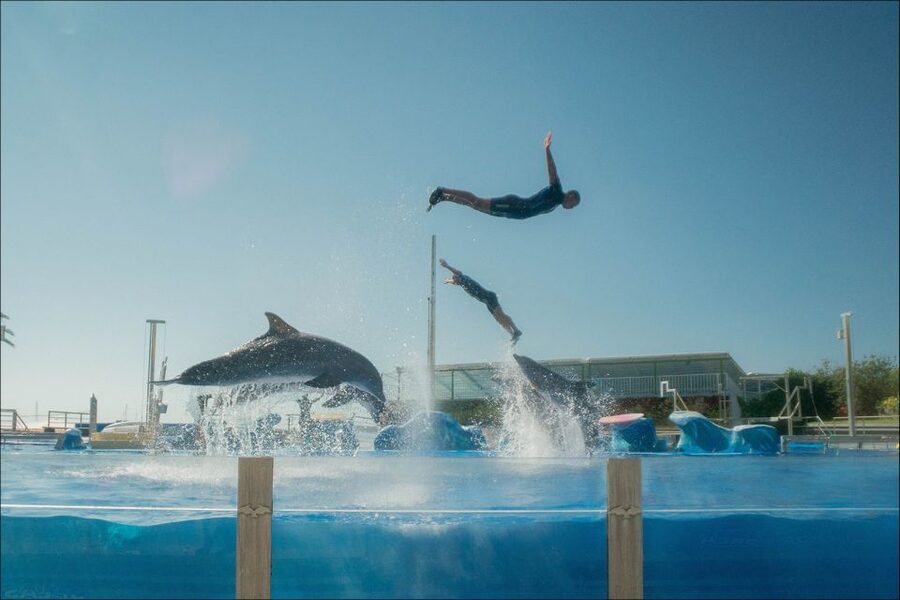 Costa d'en Blanes: Entry Ticket for Marineland Mallorca - The practical checklist before you walk in