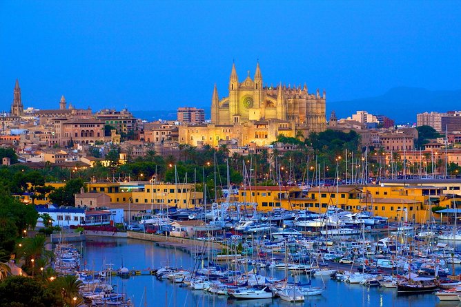 Discover the major cultural attractions of Palma De Mallorca on a Private Tour - Pickup from cruise port or hotel, then straight to the highlights
