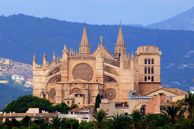 Discover the major cultural attractions of Palma De Mallorca on a Private Tour - Valldemossa in one hour: the classic village stop without the all-day commitment