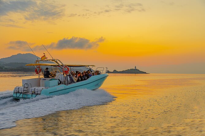 Dolphin watching by boat - Why Dawn Matters for Dolphins (and for Your Sanity)