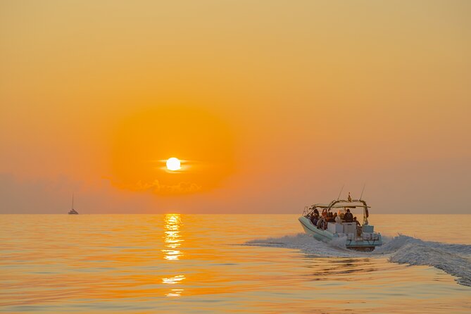 Dolphin watching by boat - What the Captain and Crew Add to the Experience