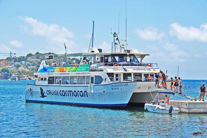 Dolphin Watching in Mallorca (Paguera) - Why Peguera dolphin watching feels more like an outing than a bus tour
