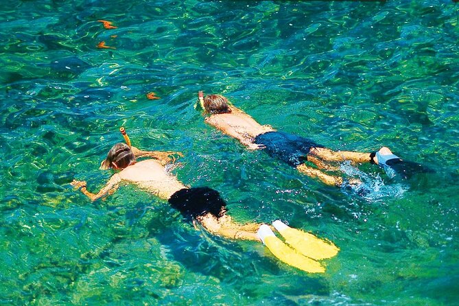 Dolphin Watching in Mallorca (Paguera) - Stop 2 at Camp de Mar: a shorter swim in a popular bay