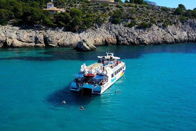 Dolphin Watching in Mallorca (Paguera) - The catamaran cruise and underwater vision, what it means for your odds