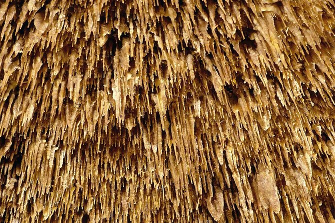 Drach Caves and Pearl Shop Mallorca Half Day Tour - Cuevas del Drach: The One Hour That Makes the Day