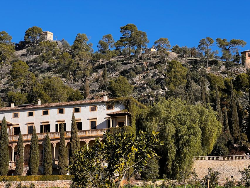 Embrace the enchantment of Mallorca's almond blossom season - Key things you will remember