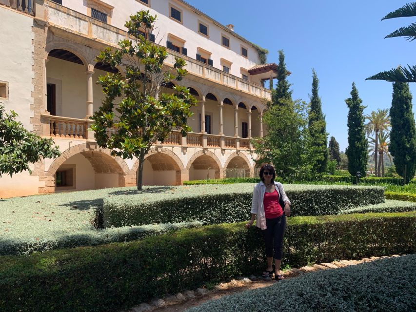 Embrace the enchantment of Mallorca's almond blossom season - A viewpoint pause, built for photos and breath