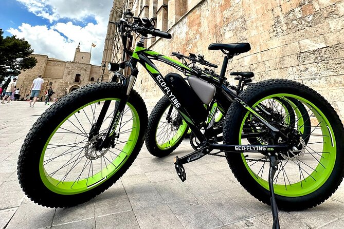 Exclusive Fat Tire E-Bike Tour in Palma - Portixol and El Molinar: fishing-harbor charm and a longer beach break
