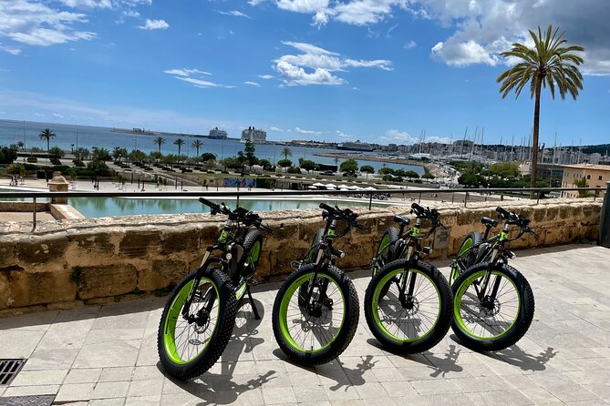 Exclusive Fat Tire E-Bike Tour in Palma - Cathedral of Light and La Almudaina: the iconic finish with real meaning