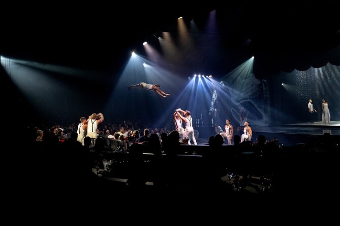 EXHIBIT - Acrobatics, Dance & Art - The show itself: acrobatics, dance, and a soundtrack that controls the pace