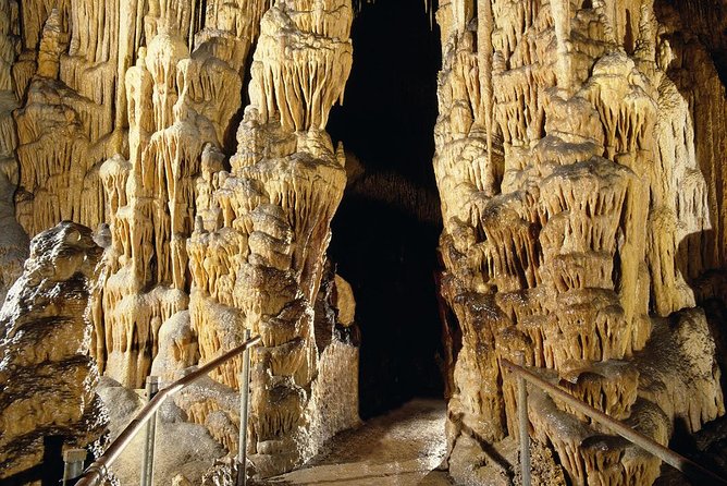 Explore Mallorca: Majorica Pearl Shop and Caves of Drach - Majorica pearl shop in Porto Cristo: worth the stop, with the right mindset