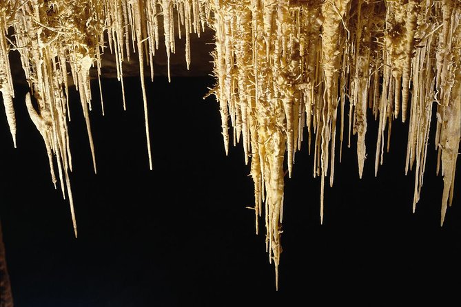 Explore Mallorca: Majorica Pearl Shop and Caves of Drach - Full-day option: Porto Cristo add-on if you want more than caves