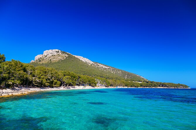 Formentor with boat trip + local market - From Pickup to Sineu or Alcudia Market: Shopping With Purpose