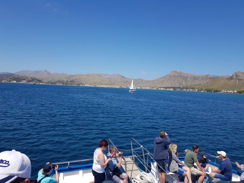 Formentor: Xperience Bus and Boat Tour from the North - Who This Tour Fits Best in Northern Mallorca