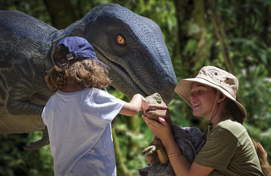 From Alcúdia: Dinosaurland and Hams' Caves Half-Day Trip - Pacing, group logistics, and a key thing to double-check